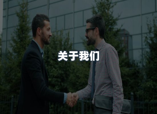专业团队